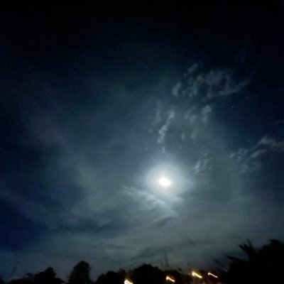 Toon1361328's profile picture. 