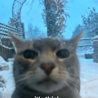 webdev6ix's profile picture. web dev