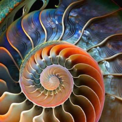 bboykinnexo's profile picture. Fanboy of Satoshi Nakamoto, Elon Musk, RFK Jr., Yogananda.