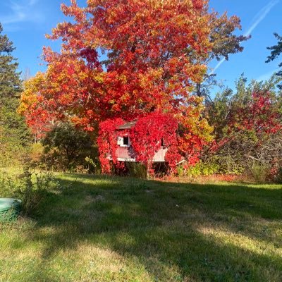 penkiunas_m's profile picture. 