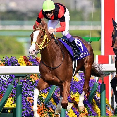 ukdhkRCXvQ99782's profile picture. 競馬と、武豊騎手が好きです！