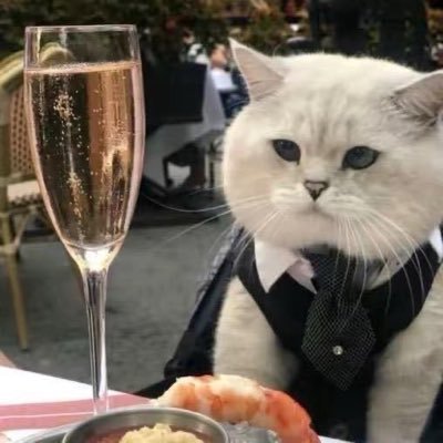 7777laicai's profile picture. 