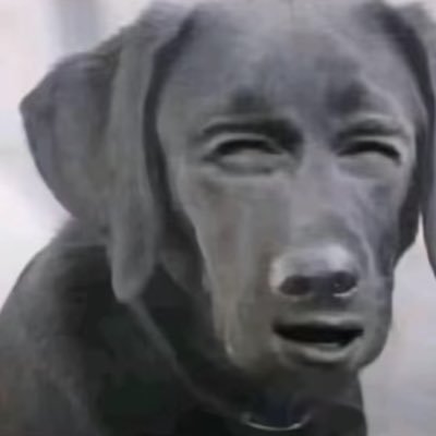 LeilaBnmz's profile picture. 