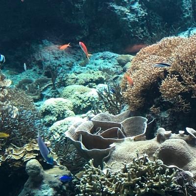 nickluv93's profile picture. Human hate got me fired 👆 up...