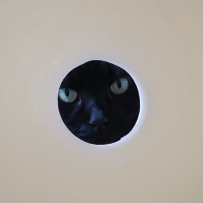 ニヶさんのプロフィール画像