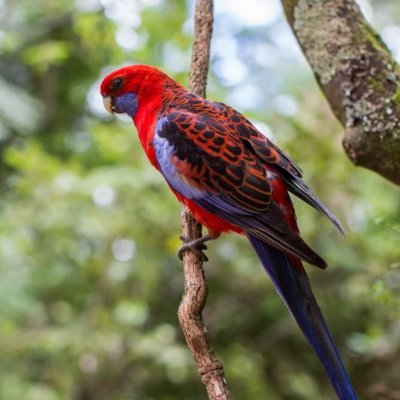 AhmedMdsiy45427's profile picture. 