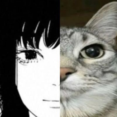 @yukihuou