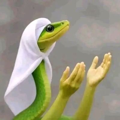 Aspanu225's profile picture. A contortionist, a polyglot💜.
A medical physiologist 🩺.
A researcher
Gamer(CODM, E-FOOTBALL).
Movie freak.
Manchester United ❤️.