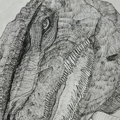 theorghal's profile picture. A cosmic Horror artist passing by, if you have any ideas in mind, i'd be happy to take a stab at it and add a corrupting twist to it, it is most entertaining