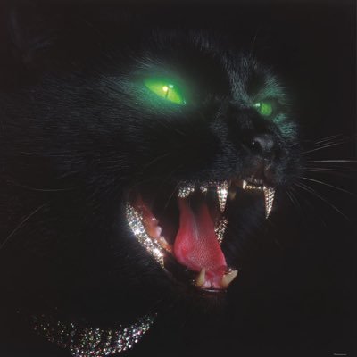 HuntsmanADHD_'s profile picture. 