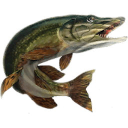 Stahloin's profile picture. 