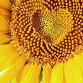 lisasami2020's profile picture. 