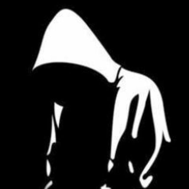 ReleaseFile's profile picture. 