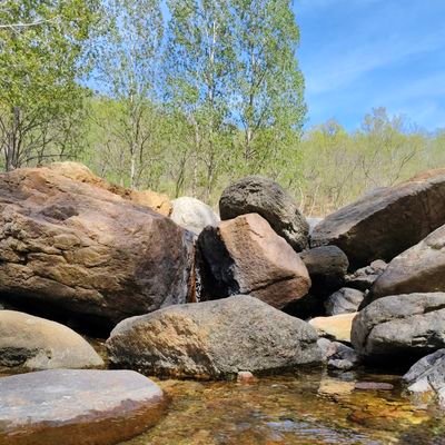 FO2988's profile picture. 