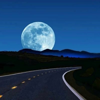 benjami61113131's profile picture. 