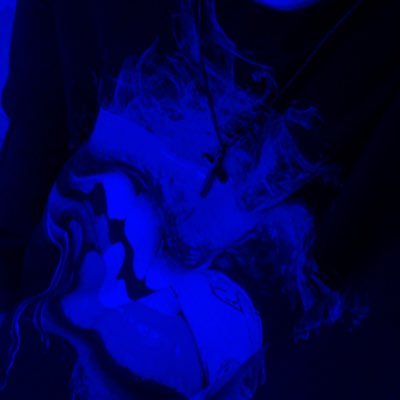 TVSjxy's profile picture. 💚🪽