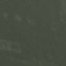 rrrine82439's profile picture. ♥️