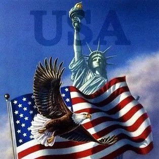 IfeanyM80231's profile picture. 