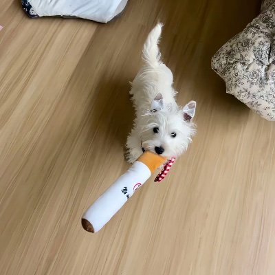 yiliu5741's profile picture. 