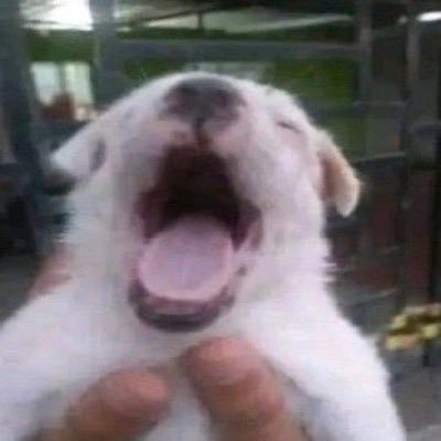 내가 공부를 해야 하는 게 아니라 남들도 공부 안 하면 된다고