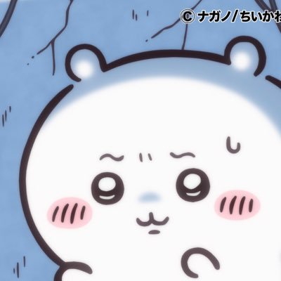 shiori_tech's profile picture. 03/大学生/語学/投資/プログラミング