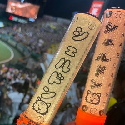 wanitankobu's profile picture. 阪神🐯とまったりオートレース🏍️ 12🫶64🫶 シェルドンとジェリー🐯 中野憲人🫶 壁打ち💤　🐻‍❄️🐻‍❄️🐻‍❄️