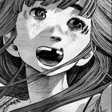 sealfan33's profile picture. 