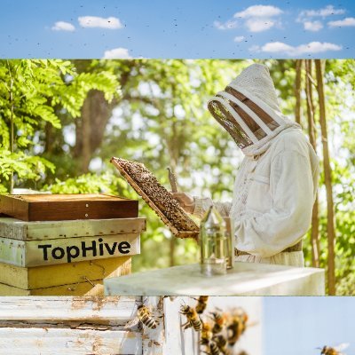 farmdoctors's profile picture. Nature Based Solutions in Apiculture