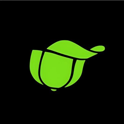 swanguyme's profile picture. 