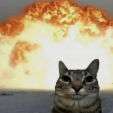 SagXusS1's profile picture. :)