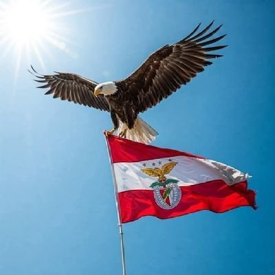 Simplesmente uma Mulher Benfiquista.
Não entro em discussões de política,futebol e de merdas.