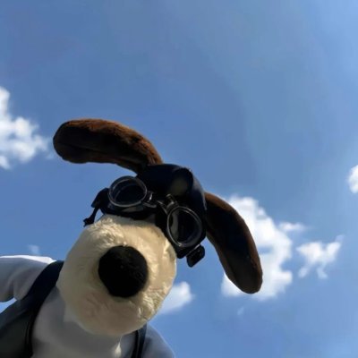 kunkunDog888's profile picture. 感谢大家的关注｜长视频订阅地址 👉 🚪https://t.co/Qnm7zO1LRr