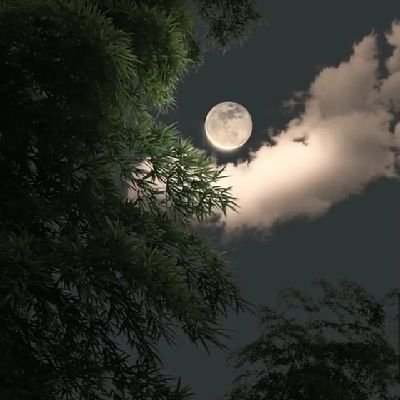 lararose3322's profile picture. 𝕕𝕖𝕝𝕚𝕔𝕒𝕥𝕖 𝕝𝕚𝕜𝕖 𝕒 𝕣𝕠𝕤𝕖, 𝕗𝕖𝕒𝕣𝕝𝕖𝕤𝕤 𝕝𝕚𝕜𝕖 𝕥𝕙𝕖 𝕨𝕚𝕟𝕕 🌬️✨. 𝕀 𝕤𝕙𝕚𝕟𝕖 𝕚𝕟 𝕤𝕚𝕝𝕖𝕟𝕔𝕖, 𝕝𝕠𝕧𝕖 𝕕𝕖𝕖𝕡𝕝y 𝕕𝕣𝕖𝕒𝕞