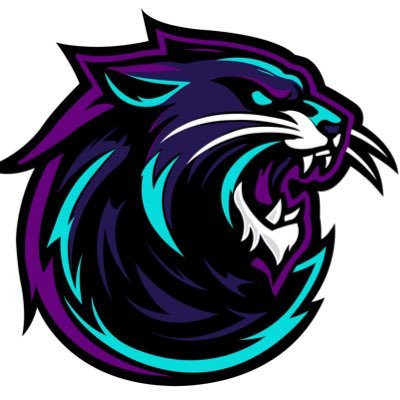 RJHenson82's profile picture. TE for the Detroit Maulers of the Simulation Football League