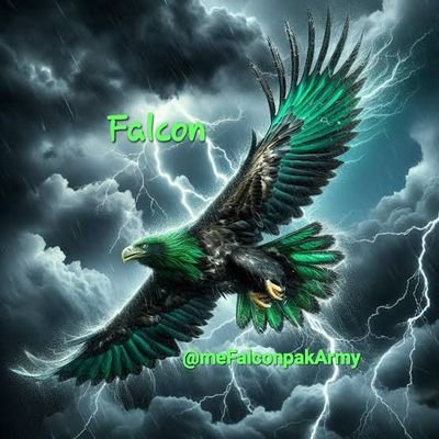 meFalconpakArmy's profile picture. Believing and trusting in ALLAH with your eyes
closed.
پاکستان ہمیشہ زندہ باد  🇵🇰