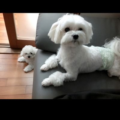 bie85495116's profile picture. 90년생의 야핑일기..
꾸준히 천천히 해보자!
허접한 글이여도 읽어주시면 감사하겠습니다