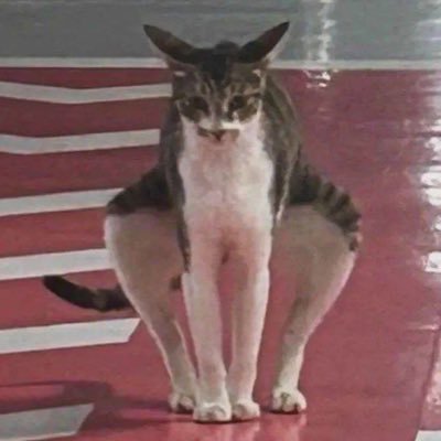 1579Rururu's profile picture. 20⬆️ 土銀 宮トガ