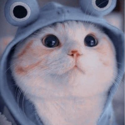 hienphan_203's profile picture. ❤️🧡💛💚💙💜🤎🖤🤍