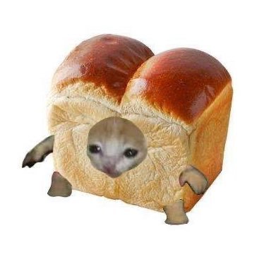 xleb0b0's profile picture. Она/Её. Пу-пу-пу, #ищумью. Юмор, котики и мемы. Не токсик