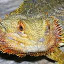 jack patrick - @jackp1010 - Twitter