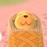 bbogeurgini's profile picture. 🧶