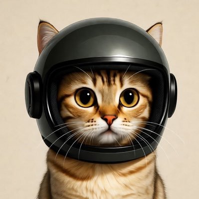 【全てを捨て猫になりました】22歳の時に上京してきて4年目になります。出身広島🍁→大学徳島🍥→現在東京🗼。好きな言葉は中学時代の部活のスローガンの「克己心」。サッカーをこよなく愛して13年になります。noteも始めました。徳島、広島にゆかりのあるビジネスマンと繋がりたい。