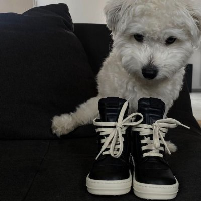 excuy's profile picture. Master at every game