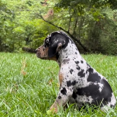 RoTrPe's profile picture. 