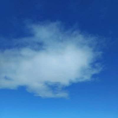 sanae_etranger's profile picture. 비공개 ROM 전용. 글은 쓰지 않습니다.