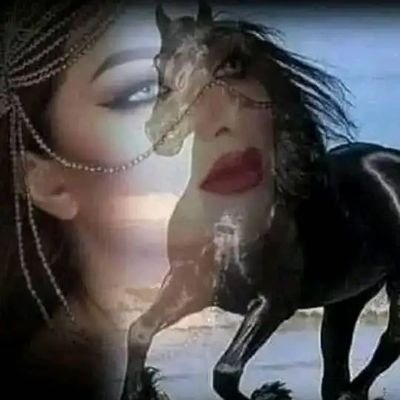 ugfcvbn's profile picture. طالبه جامعيه