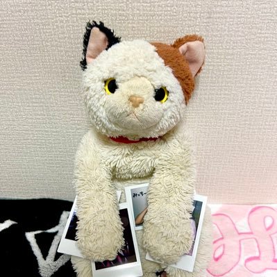 MiCCHi_KAWACK's profile picture. WACKとKAWAII LAB. 好きです🫶/ASP/CUTIE STREET/ExWHYZ/CANDY TUNE/アイナ・ジ・エンド