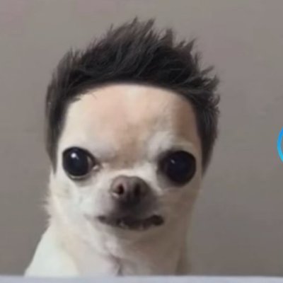 LowzzFN7's profile picture. 🇦🇱 | MNG @GoNxva