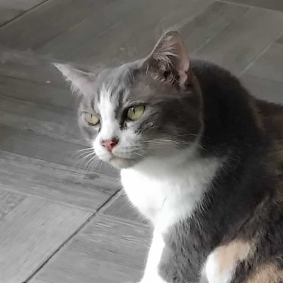 NGC2380's profile picture. #Pitchameen,#LookkedCGM48,#LinglingCGM48,#MichaBNK48,#PattBNK48.#ArleeBNK48,#SmildHatobito,#Pepo_Mellfias,#MaiySupitcha,#Aheye4EVE