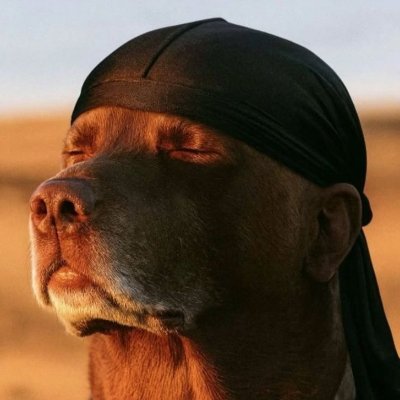 mxndxncx Profile Picture